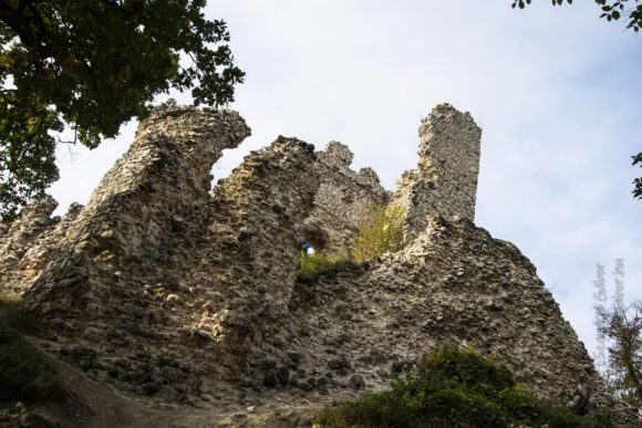 2020. Tatabánya 20km, Vitányvár - fotó: Szendrei Gábor