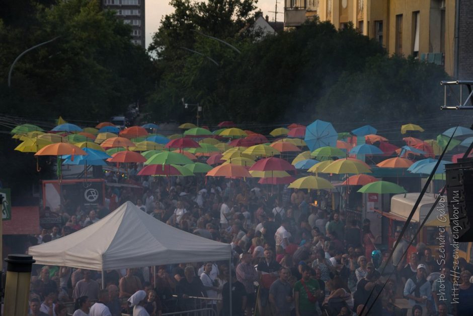 Tiszavirágzás, kérész nézőben Szolnokon 2023 - fotó: Szendrei Gábor