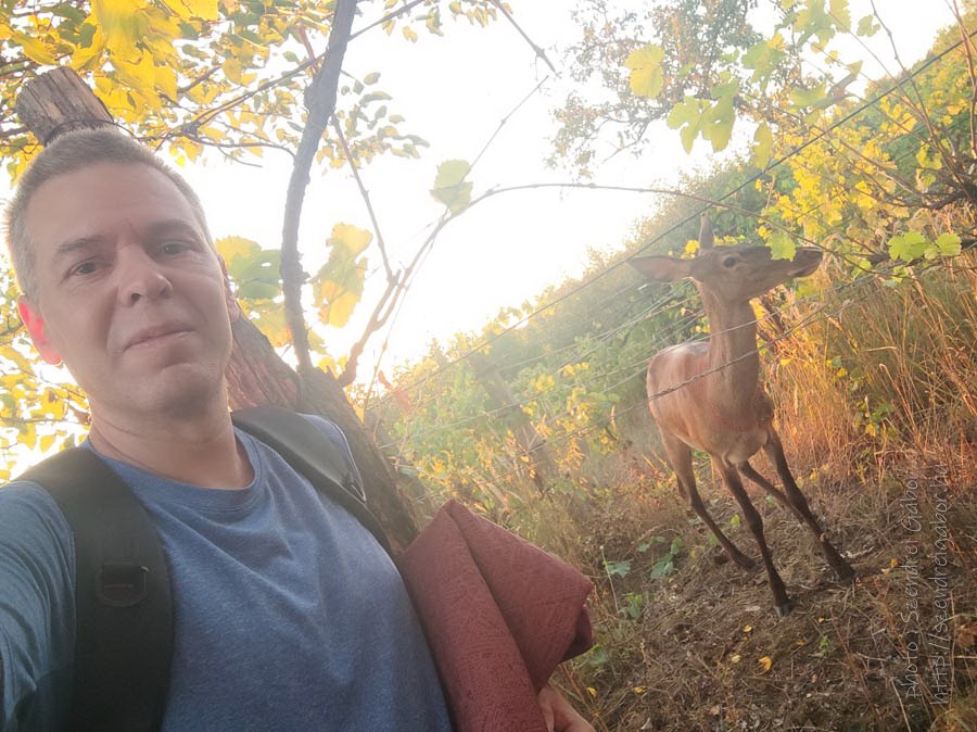 oz szarves szelfi selfie with deer wild animal