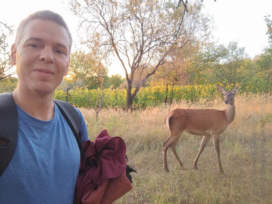 oz szarves szelfi selfie with deer wild animal